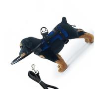 ordinarYone Collar protector para mascotas con correa integrada para un uso seguro en interiores y exteriores, diseño de poliéster transpirable ajustable