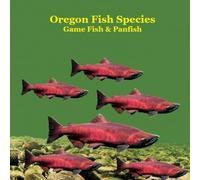 Oregon Game Fish and Panfish Species Kids Book: Great Book About the Different Types of Fish in Oregon