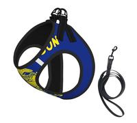 Oregon State Flag - Juego de correa ajustable con arnés para gatos y perros, chaleco de malla suave y transpirable con diseño reflectante, correa a prueba de fugas para mascotas pequeñas