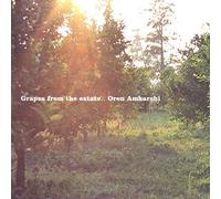 Oren Ambarchi - Grapes from the Estate
