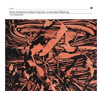 Oren Ambarchi & Martin Ng - Vanishing [Vinilo]