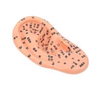 ORFOFE 1pieza Modelo De Acupuntura De Oído Para Masaje Herramienta De Tcm Diseño Preciso Puntos De Reflexión y Meridianos Claramente Marcados