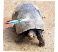 ORFOFE 2 Piezas Cepillo Doble Cara para Limpieza de Caparazón de Tortuga Diseño Ergonómico con Cerdas de Flexibles Potente para Eliminación de Suciedad Tortugas Acuáticas y Terrestres de