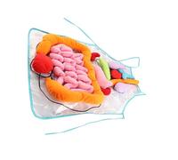 ORFOFE Delantal de Órganos Humanos para Educación Temprana, Didáctico de Poliéster, Tamaño 60x44 Cm, Modelo 3D Corporal, Material Sensorial para Aprendizaje Infantil y Juegos