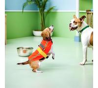 ORFOFE Disfraz de Ingeniero para Mascotas con Chaleco Naranja Ajustable Gorro Incluido Talla S para Perros de 2 a 3 Kg Adecuado para Halloween y Fiestas Temáticas