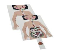 ORFOFE Modelo Educativo DIY del Sistema Digestivo Humano para Niños Materiales de Papel y Plástico, 2 Juegos para Enseñanza y Obsequio Interactivo Familiar