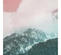 Organic Music Tapes Vol. 4 [Casete]
