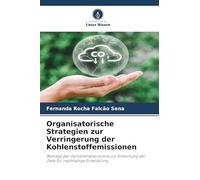 Organisatorische Strategien zur Verringerung der Kohlenstoffemissionen: Beiträge der Verhaltensökonomie zur Erreichung der Ziele für nachhaltige Entwicklung