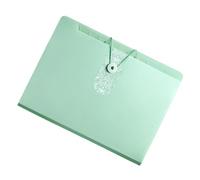 Organizador de archivos, 12 bolsillos, carpeta expandible, tamaño carta, organizador de archivos, clasificación expandible, suministros de oficina, documento para oficina y escuela