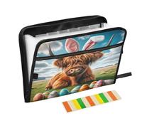 Organizador de archivos de acordeón con cremallera de vaca de las tierras altas, con 13 bolsillos, con etiquetas, tamaño carta A4, para viajes, oficina, hogar