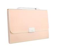 Organizador de carpetas de acordeón con 13 bolsillos, funda expandible con asa, tamaño A4, tamaño carta, documento de acordeón, viene con 12 calcomanías para el hogar, oficina, escuela