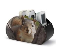 Organizador de control remoto Squirrel in The Tree, de cuero sintético, con 5 compartimentos, soporte para controlador, organizador multifuncional para cepillos, organizador de artículos de oficina p