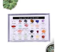 Organizador de Cristales | de Almacenamiento Dividida con 24 Cristales - Estuche Transparente para | para Coleccionables Decoración del Hogar Meditación