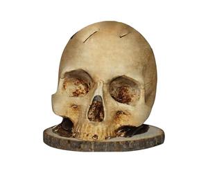 Organizador de esqueleto, soporte de almacenamiento de calavera gótica, soporte decorativo para bloque de cocina, mostrador, estilo terror, estante para utensilios para tenedores, cucharas, cubiertos