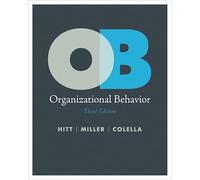 Organizational Behavior a Strategic Approach 3E