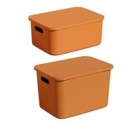 Organizer Box - 14.37in Closet Bin | Large Organizer Bins With Lid And Handle For Bedroom, 2-Pack Sturdy PP Storage Basket For Clothes Toys Books Shoes, Extra Large White Grey 15L 25L