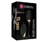 ORGASMO SECRETO DE DORCEL