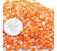 ORGEFY Perles de gravier en vrac, aigue-Marine, 3-5 mm, Malachite polie, 20-100 g, pour la Fabrication de Bijoux, coquillage Orange, 50 g
