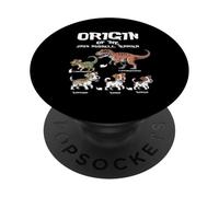 Origen De Jack Russells Terrier Evolución Historia Perro Amante PopSockets PopGrip Adhesivo