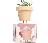 Original Earthlings Maceta de Interior, Maceta de plástico única y Bonita con Cara, Maceta para suculentas/Cactus de 3.5 Pulgadas, Regalo para Amantes de Las Plantas, Maceta Decorativa novedosa