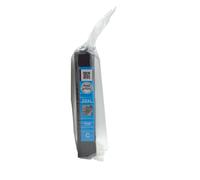 Original Epson Tinta Cartucho 29XL Cian para Expression 30 102 202 205 305 405