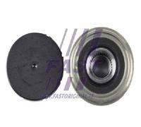 Original FAST Polea Del Generador FT45653 Para Citroën Fiat Ford Lancia