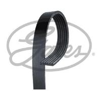 Original GATES Correa De Ventilador 6PK1640 Para BMW Citroën Ford Hyundai Jaguar