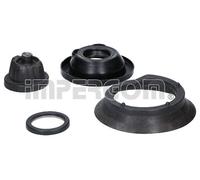 ORIGINAL IMPERIUM Camber Puntal Cojinetes Frontal Derecho Izquierda para