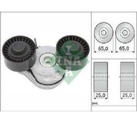 Original INA Tensor De Correa De Poli V 534 0696 10 Para Jaguar Land Rover
