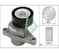 Original INA Tensor De Correa Poly V 534 0250 10 Para Citroën Peugeot