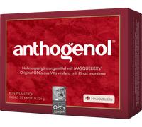 Original Masqueliers OPC Anthogenol - 75 cápsulas Original Masqueliers