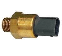 Original metzger Piezas de Automóvil Temperatura Del Radiador 0915256 para BMW
