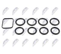 Original NTY Juntas Colector de Admisión BKS-CT-003 para Citroën Fiat Ford Mini