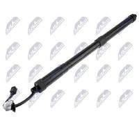 Original NTY Motor Eléctrico De La Puerta Trasera AE-NS-033 Para Nissan