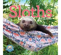 Original Sloths Wall Calendar 2026: The Ultimate Experts at Slowing Down