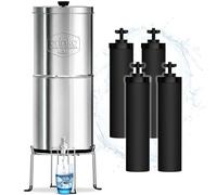 ORINKO Filtro de agua por gravedad 8,5 l con 4 cartuchos, purificador de agua con carbón activado, fuente filtrante para agua del grifo, agua de lluvia y más, filtración avanzada