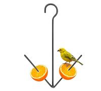 Oriole Bird Feeder - Iron 26 x 18 cm | Garden Fruit Dispenser with Hook | Comedero para pájaros al aire libre - para jardín, patio trasero, patio, ventana, balcony Deck