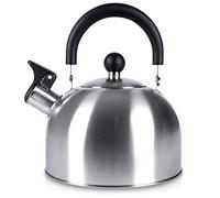 Orion - Hervidor de agua (2,5 L, diseño moderno, inducción/cocina de gas, acero inoxidable mate, plateado, apto para todo tipo de fuegos, 18 cm de diámetro, ideal para cocinas modernas/tradicionales