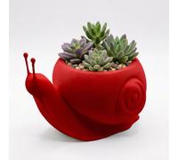 ORIZZONTE ITALIA Macetero con forma de caracol "CaraPot" - Diseño fantástico para cactus y plantas suculentas, ideal para decoración casa/estudio/oficina, centro de mesa (Red)