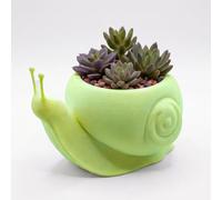 ORIZZONTE ITALIA Macetero con forma de caracol "CaraPot" - Diseño fantástico para cactus y plantas suculentas, ideal para decoración casa/estudio/oficina, centro de mesa (Matcha Green)