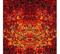 Orjdjz Wxkbl Cartel de Fire de Damien Hirst Pop abstracto Arte mural Imagen a color Grabados de Damien Hirst Pintura estética para decoración de paredes de habitaciones 50x50cmx1 sin marco