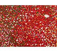 Orjdjz Wxkbl Póster de DAMIEN HIRST Impresiones estéticas en lienzo Arte mural de DAMIEN HIRST Pósters y grabados de puntos rojos para oficina Decoración mural 16x24inx1 Sin marco