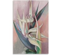Orjdjz Wxkbl Póster de Georgia O'Keeffe《Pájaro del paraíso blanco》Arte mural Grabados de Georgia O'Keeffe Pintura moderna en lienzo para decoración de habitaciones 40x55cm sin marco