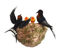 Ornamento de nido de pájaro - Decous de jardín al aire libre, exhibiciones de nido de degustación | Figuras rústicas Birdhouse, conjunto de anidación educativa con pájaros artificiales, accesorios de