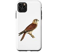 Ornitología común de aves rapaces halcón halcón cernícalo Carcasa para iPhone 11 Pro Max