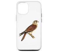 Ornitología común de aves rapaces halcón halcón cernícalo Carcasa para iPhone 12/12 Pro