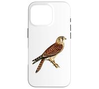 Ornitología común de aves rapaces halcón halcón cernícalo Carcasa para iPhone 16 Pro