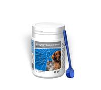 Orozyme Bucco-Fresh PlaqueOff | Polvo para perros y gatos | 40 g | ecuphar | Materias primas para piensos | Para apoyar el cuidado dental y la higiene bucal | Con Ascophyllum nodosum