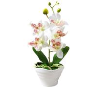 Orquídea 5 cabezas orquídeas artificiales planta en maceta 10.6 '' Orquídeas realistas Flores artificiales en maceta Phalaenopsis Orchid con jarrón para la mesa decoración de la boda del centro de me