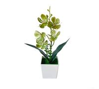 Orquídea artificial, 5 flores de mariposa sintética, simulación realista, bajo mantenimiento, no necesita riego, decoración versátil para el hogar, oficina, boda (verde)